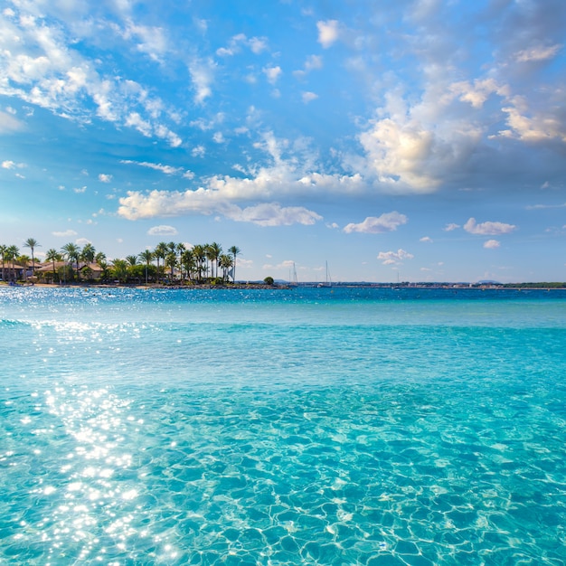 Plage de la Platja de Alcudia à Majorque Majorque