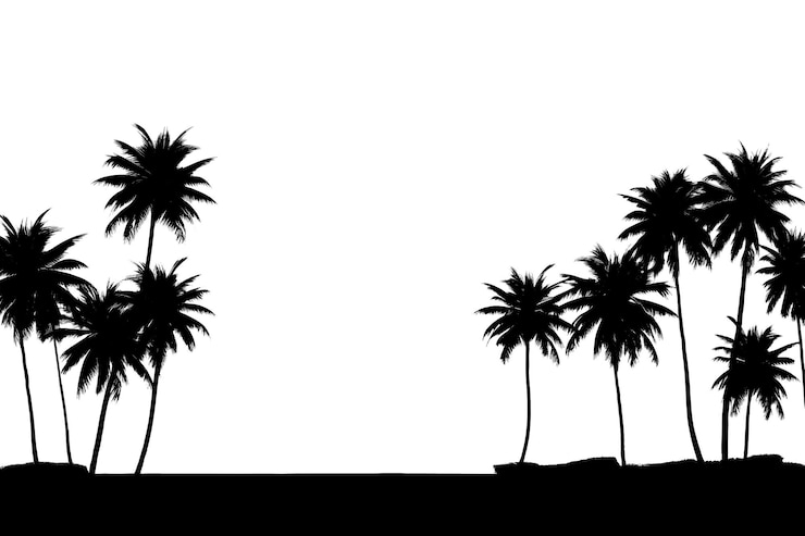 Photo plage de png avec des palmiers silhouette paysage en plein air