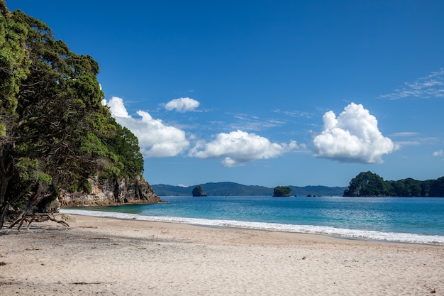 Plage près de Hahei