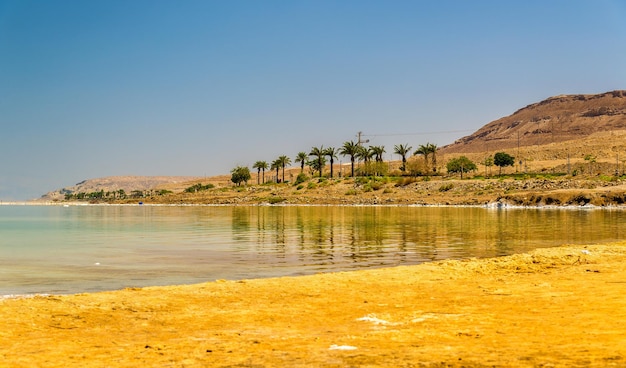 Plage publique sur le lac des Morts à Ein Bokek Israël