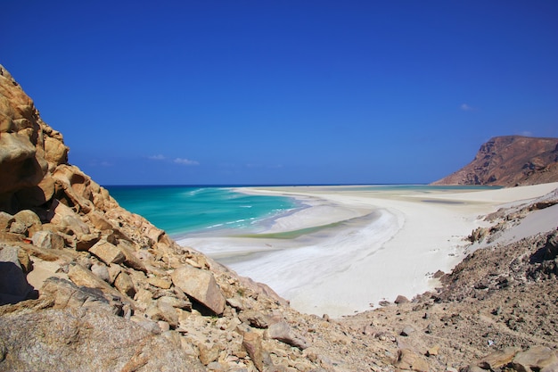 Plage de Qalansiyah, île de Socotra, océan Indien, Yémen