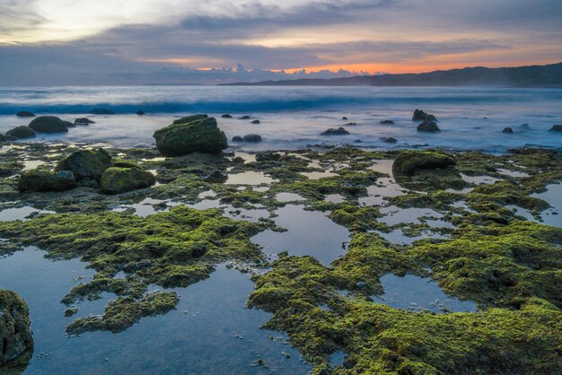 Une plage avec des rochers couverts de mousse et un coucher de soleil en arrière-plan