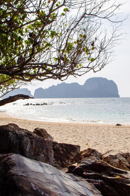 Photo plage de rochers et de pierres paysage naturel de la thaïlande