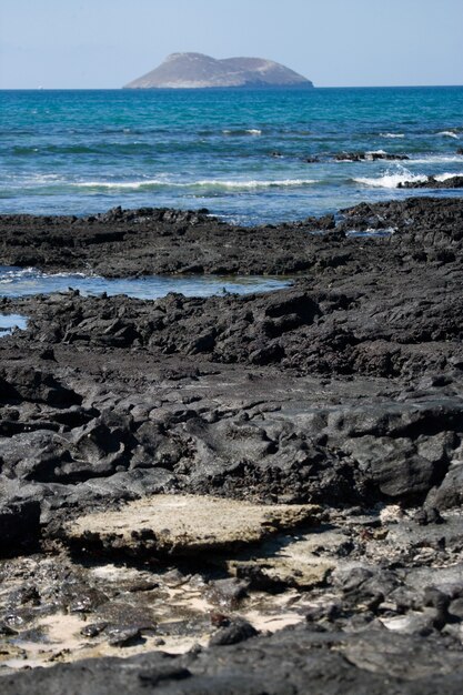 Plage rocheuse aux îles Galapagos