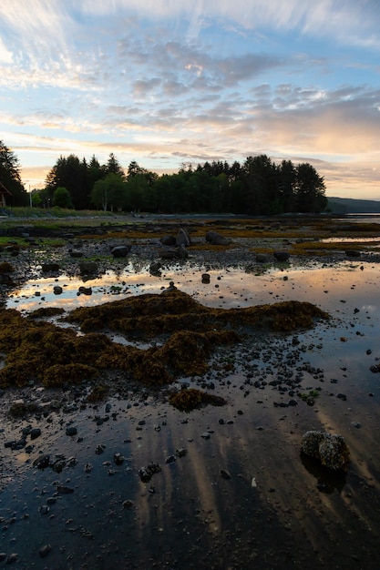 Plage rocheuse pendant un coucher de soleil d'été nuageux et animé