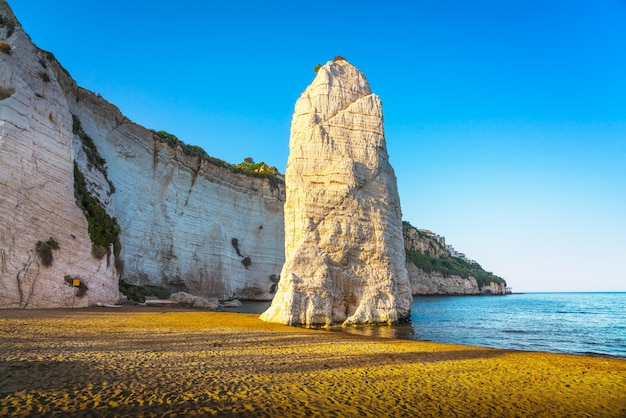 La plage rocheuse de Vieste et Pizzomunno est située dans la région de Gargano, en Apulie, en Italie.