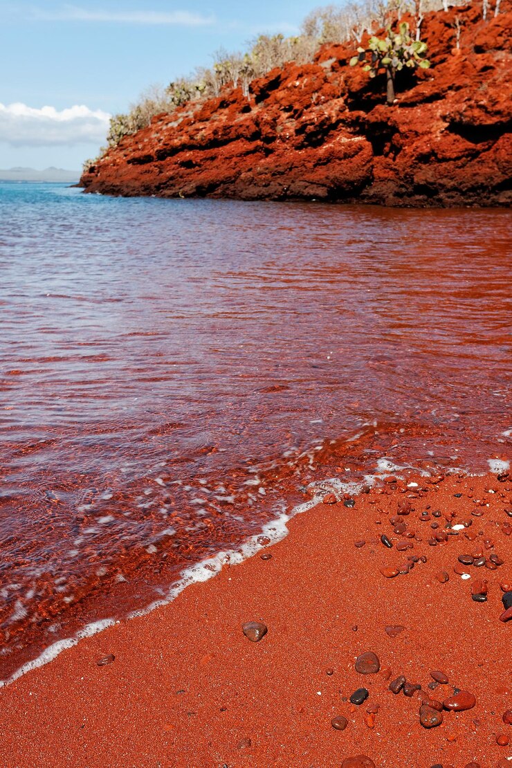 Photo la plage rouge de l'île des galapagos, en équateur