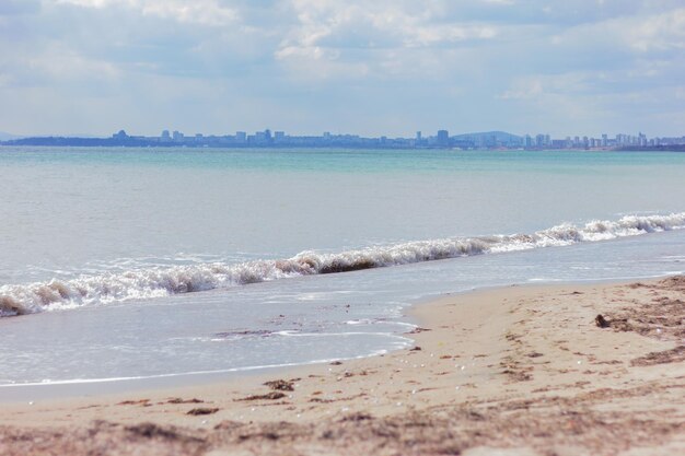 Plage de sable aux algues près de la nature de la mer