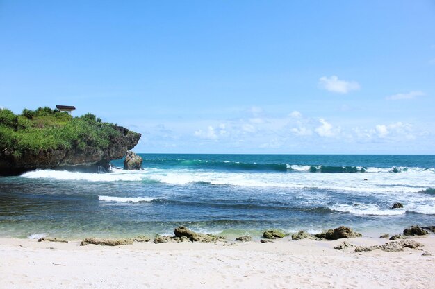 Plage de sable blanc et corail avec vague