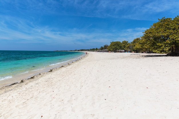 Plage de sable blanc à Cuba