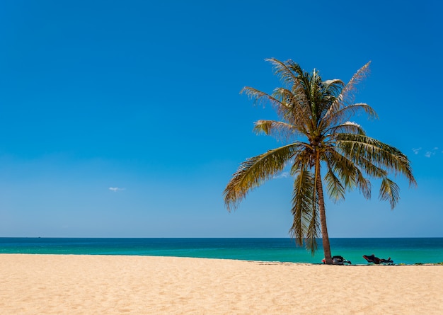 Plage de sable blanc et mer bleue et ciel en saison estivale