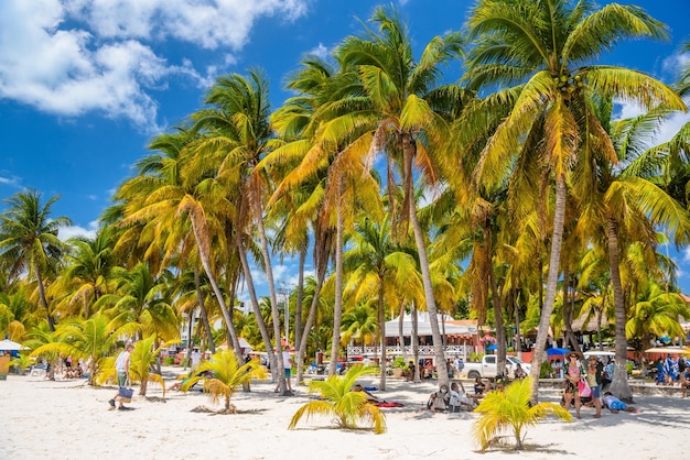 Plage de sable blanc avec palmiers cocos Isla Mujeres island Mer des Caraïbes Cancun Yucatan Mexique