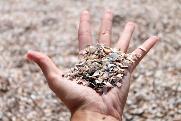 Plage de sable et coquillages en gros plan main féminine