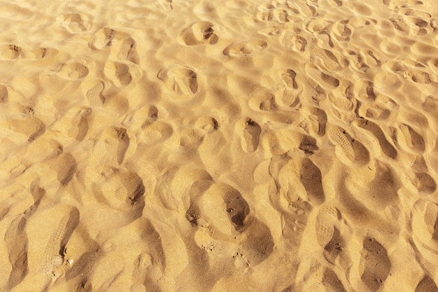 Plage de sable ensoleillée