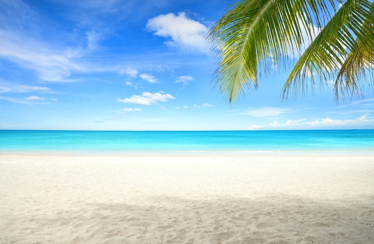 Photo plage de sable d'été avec des feuilles de cocotier au premier plan.