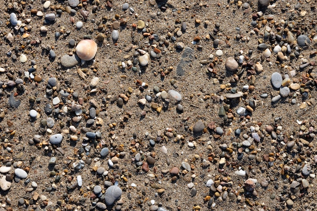 Plage de sable et journée ensoleillée