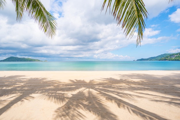 Plage de sable de mer et de palmiers en journée d'été