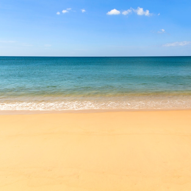 Plage de sable et océan bleu