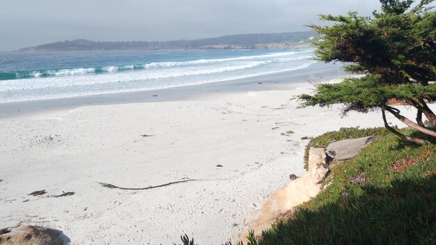 Plage de sable de l'océan côte de la californie vagues d'eau de mer s'écraser par temps ensoleillé