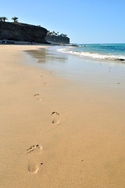 La plage de sable de l'océan