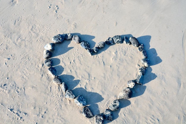 La plage de sable de l'océan