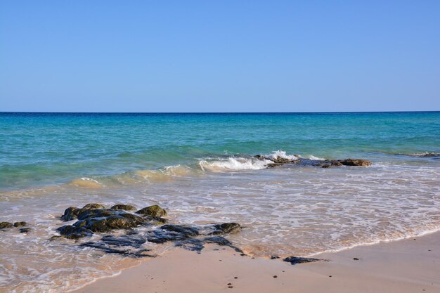 La plage de sable de l'océan