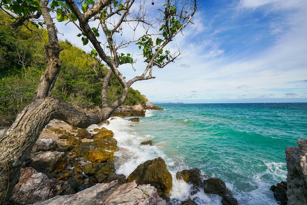 Plage de sable parmi les rochers de l'île de koh lan en thaïlande