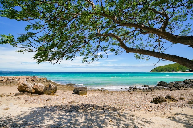 Plage de sable parmi les rochers de l'île de koh lan en thaïlande