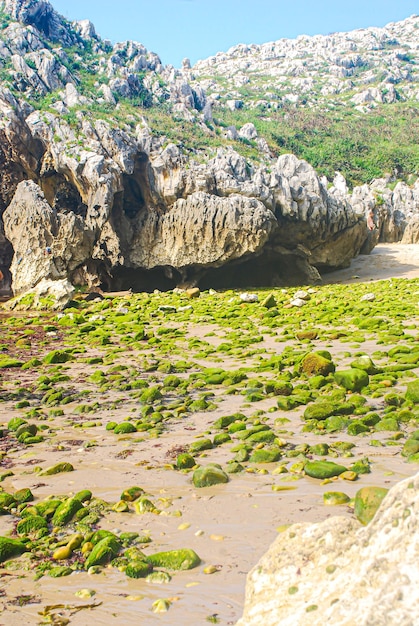 Plage de sable avec pierres de mousse