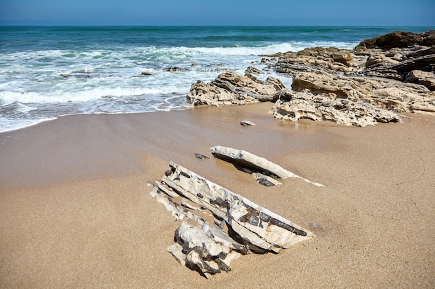 Photo plage de sable et pierres pointues sur une côte océanique