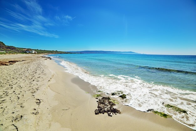 Plage de sable de la plage de Le Bombarde Sardaigne