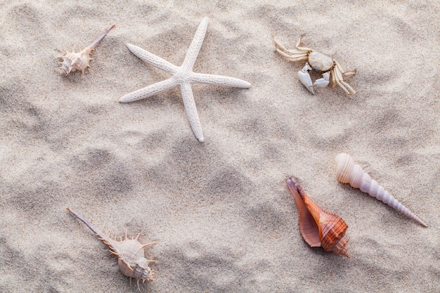 Plage de sable pour concept d&#39;été et de plage.