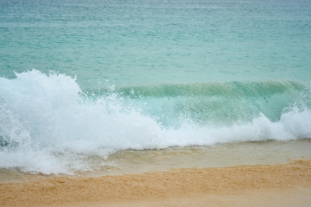 Photo plage de sable tropicale avec de l'eau claire en toile de fond