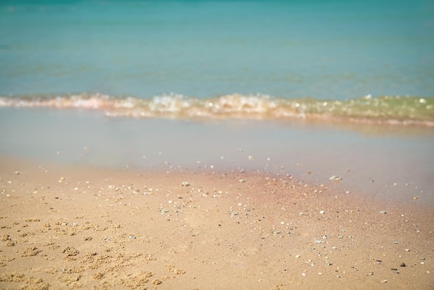 Plage de sable tropicale