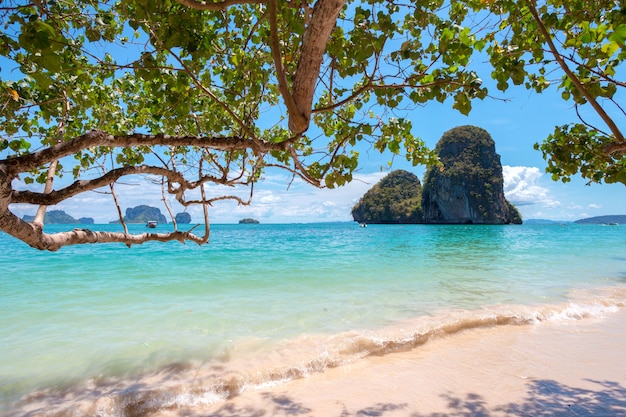 Plage de sable tropicale