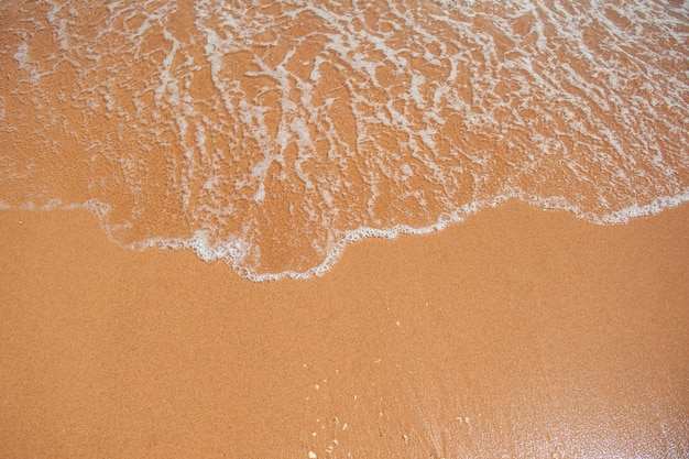 Plage de sable et une vague de la mer