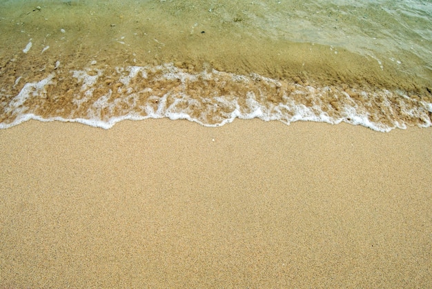 Plage de sable avec vagues