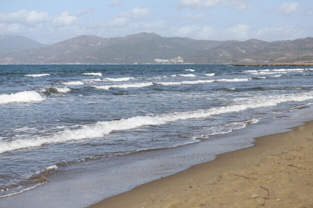 Plage de sable et vagues