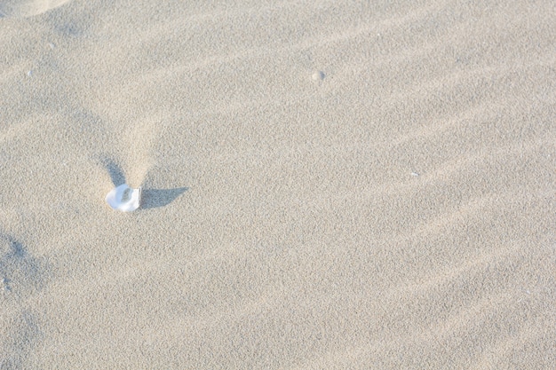 plage de sable