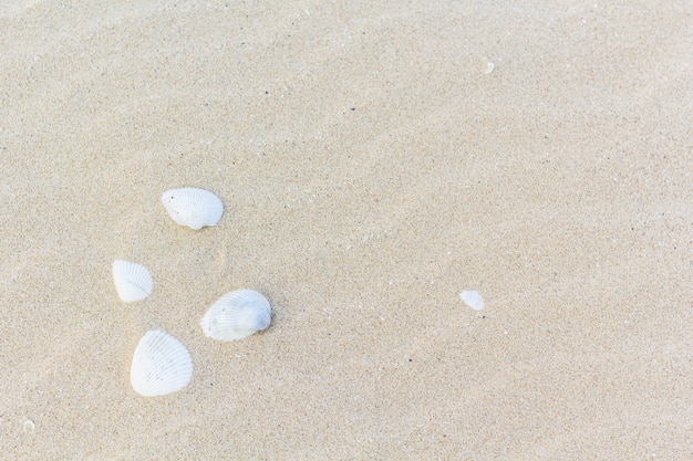 plage de sable