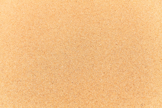 Photo plage de sable