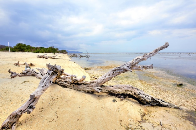 plage de sable