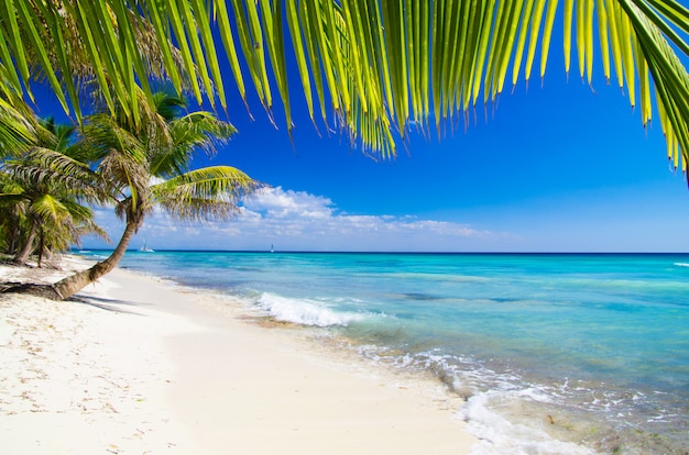 Photo plage et sable