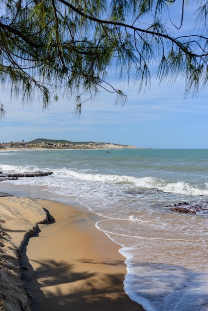 La plage de Sagi Baia Formosa près de Natal État de Rio Grande do Norte Brésil