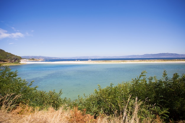 plage sauvage en été