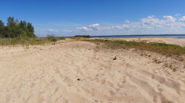 Plage sauvage sablonneuse en été.