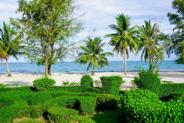 La plage de Sihanoukville, les palmiers et la mer bleue