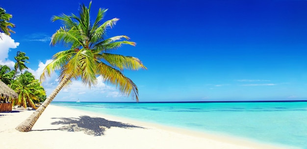 Plage avec soleil de sable blanc et océan calme Bannière tropicale