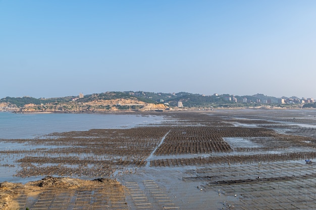 La plage sous le ciel bleu, la vasque et les parcs à huîtres sont sur la plage