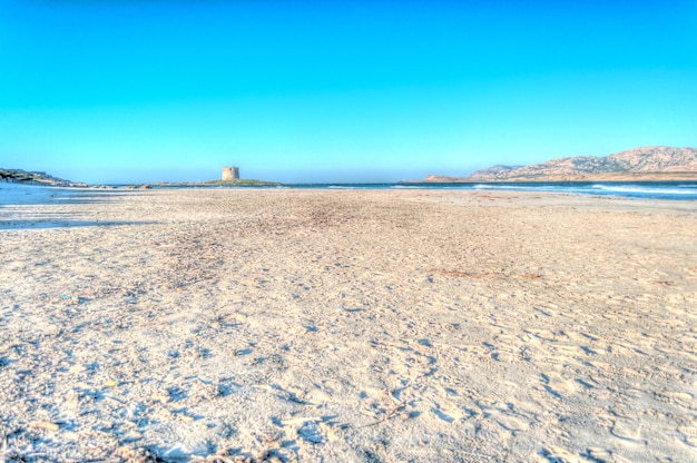 Plage de Stintino la pelosa par une journée ensoleillée et venteuse